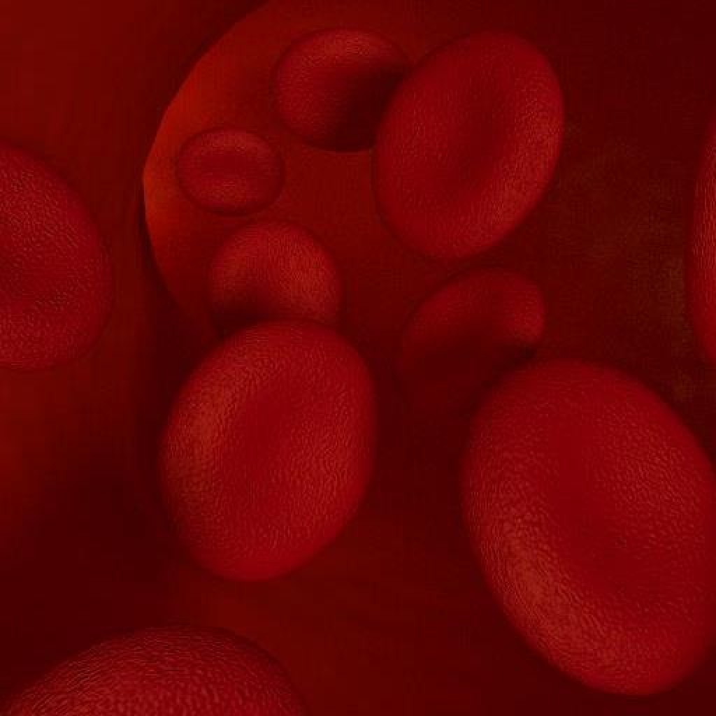 Blood cells plus Procedural Shader preview image 1